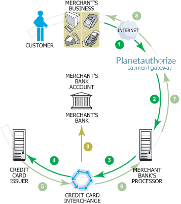 How Credit Card Processing Works